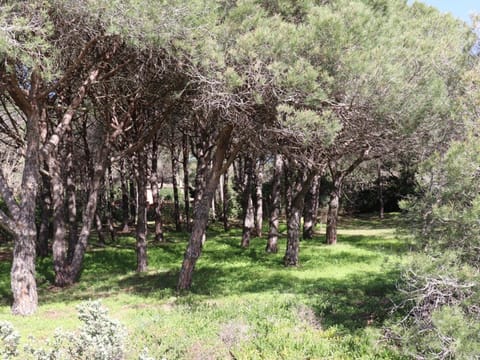 Villa de charme en pinède, 4 chambres climatisées, accès direct plage - FR-1-100-209 Villa in Cavalaire-sur-Mer