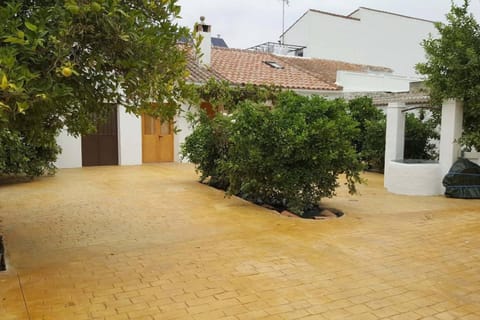 Patio, Garden