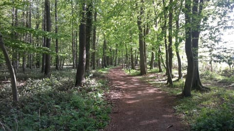 Wellness Chalet No10 House in Dahme