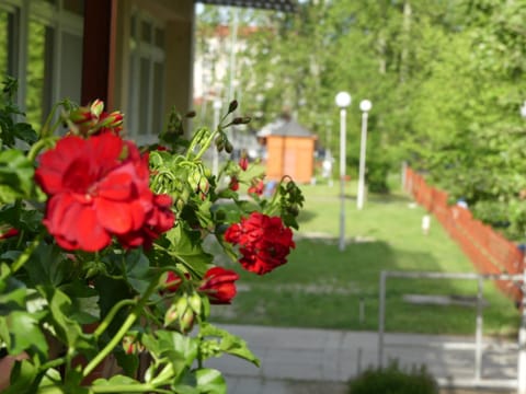 Property building, View (from property/room)