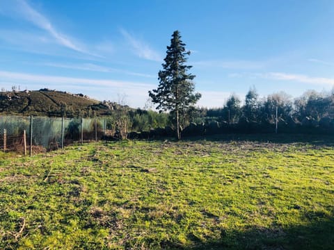 Spring, Day, Natural landscape, Garden, Garden view, Mountain view