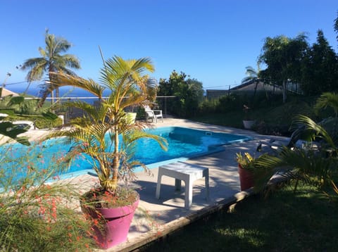 Natural landscape, Garden, Swimming pool