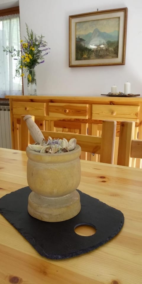 Maison Bertines II Apartment in Piedmont