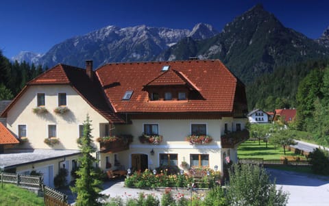 Property building, Bird's eye view