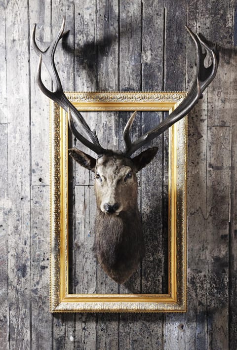 Logo/Certificate/Sign