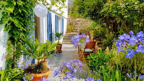 Garden, Garden view