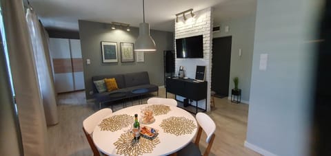 Loft apartament Apartment in Lithuania