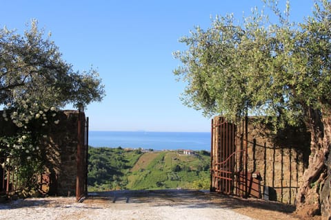 Natural landscape, Sea view