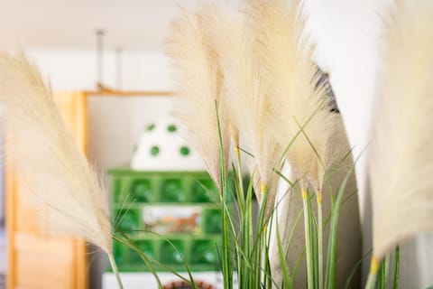 Chalet Wiesengut all famous ski areas around us, 10 min to salzburg, mountainview House in Salzburgerland