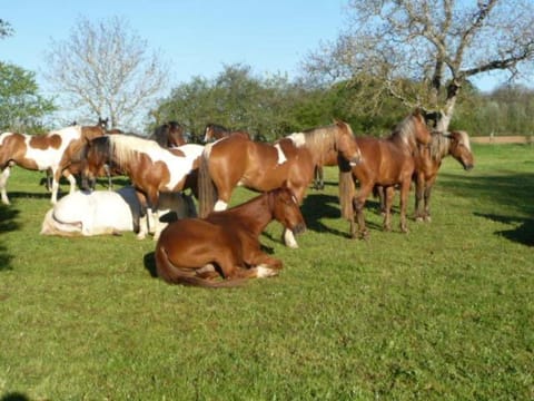 La grange Farm Stay in Bourgogne-Franche-Comté