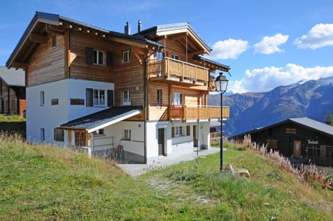 Property building, Summer, Garden