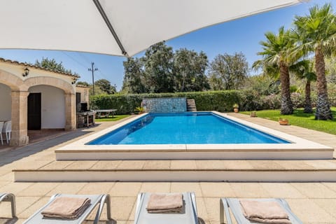 Garden, Swimming pool, sunbed