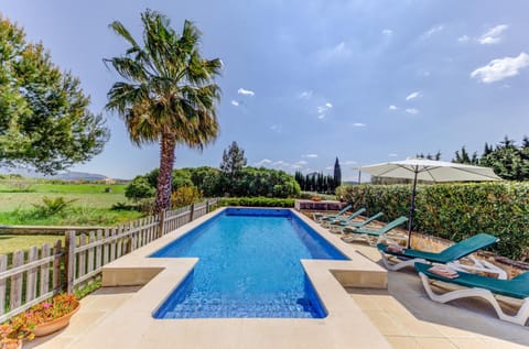 Natural landscape, Swimming pool, Swimming pool, sunbed