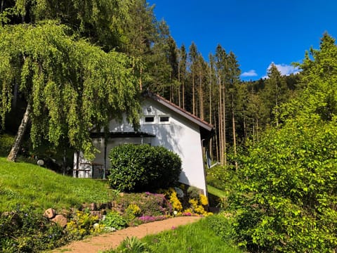 Facade/entrance, Garden