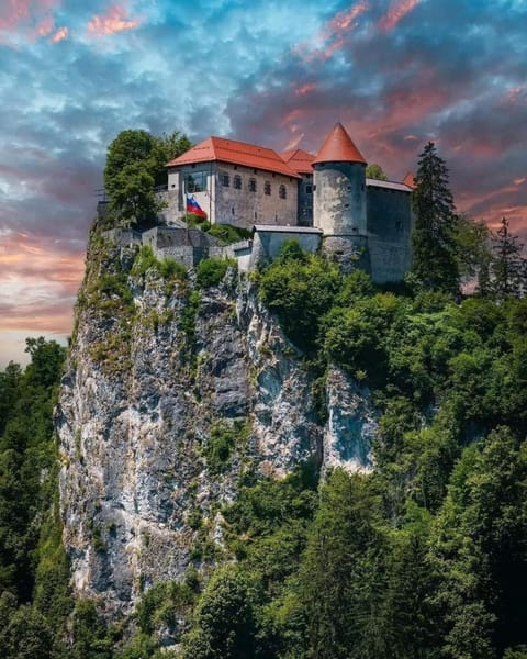 Apartments Violeta Apartment in Bled