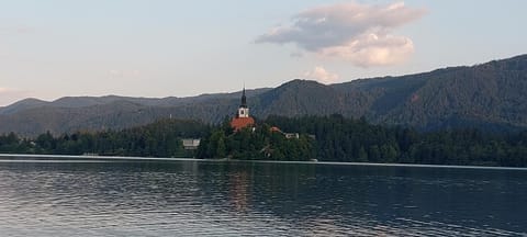 Apartments Violeta Apartment in Bled