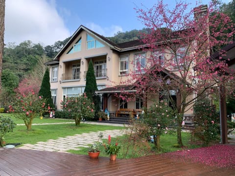 Property view