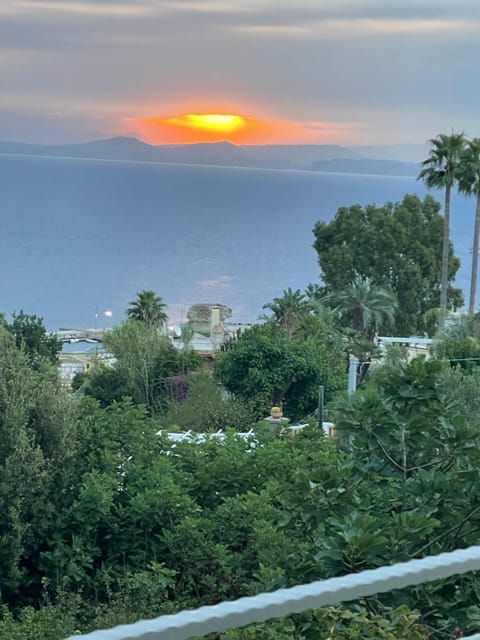 Belgodere di Mezzavia Apartments Bed and Breakfast in Lacco Ameno