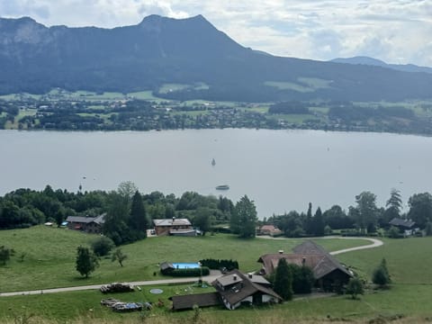 Dirnbergerhof Apartment in Mondsee