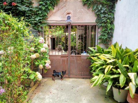 Facade/entrance, Pets