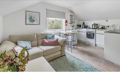 Kitchen or kitchenette, Seating area