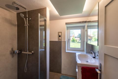 Shower, Bathroom, Photo of the whole room, Decorative detail