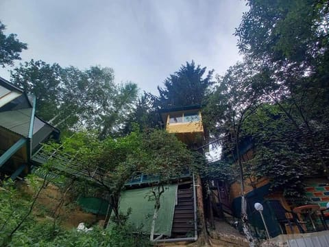 tree house Apartment in Federation of Bosnia and Herzegovina