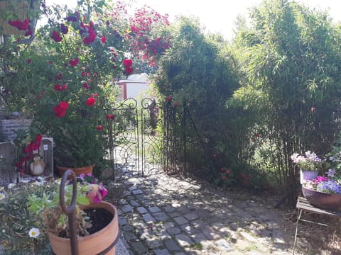 Property building, Garden view