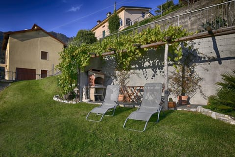 Patio, Garden, Garden view
