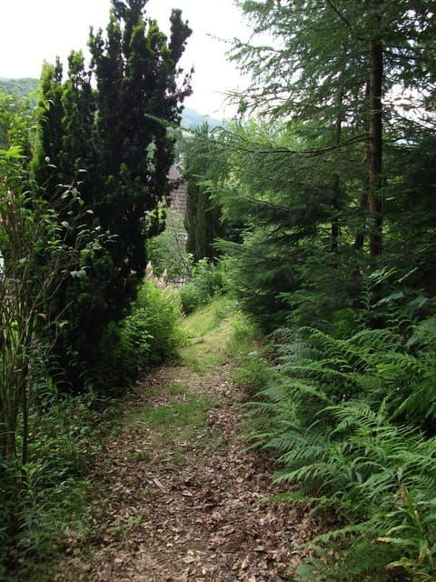 En Raußel Apartment in Rhineland-Palatinate