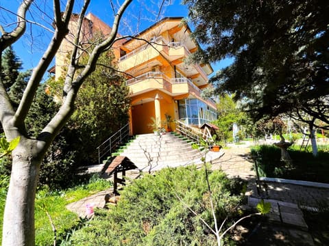 Property building, Spring, Garden, Garden