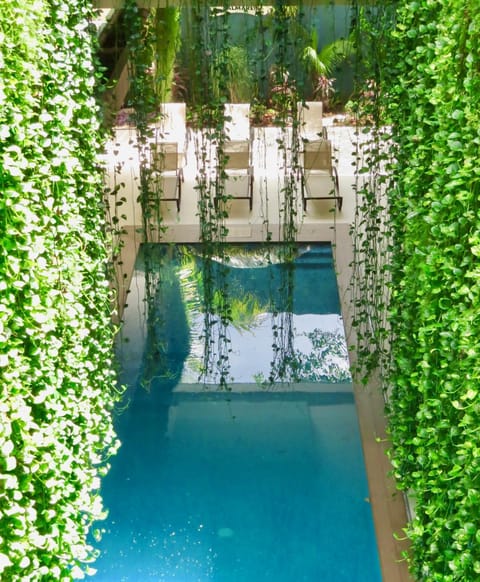 Pool view, Swimming pool, Swimming pool