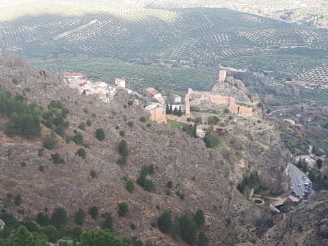 Property view