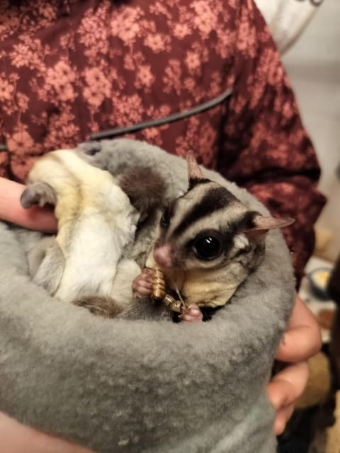 Hohenwarte Country House in Nordfriesland