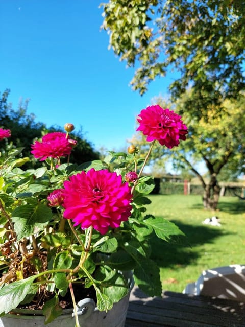 Suite School 15 B Apartment in Zeeland, Netherlands