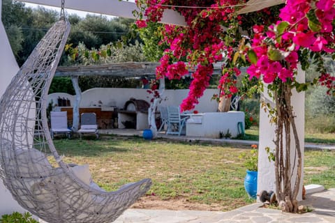 Patio, Garden, Garden view, sunbed