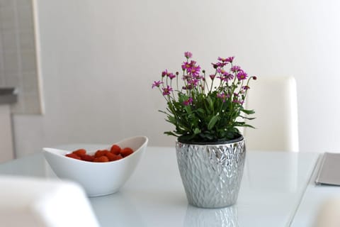 Apartman ViNiKa Apartment in Zadar