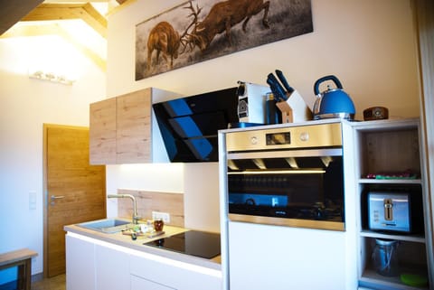 Leos Alpenchalet - inclusive Sommer Bergbahnticket und E-Auto Ladestation Apartment in Oberstdorf