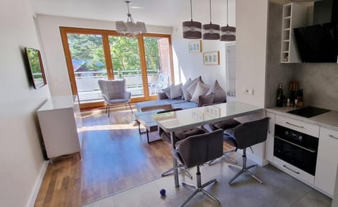 TV and multimedia, Kitchen or kitchenette, Living room, Seating area, Dining area, internet, stove