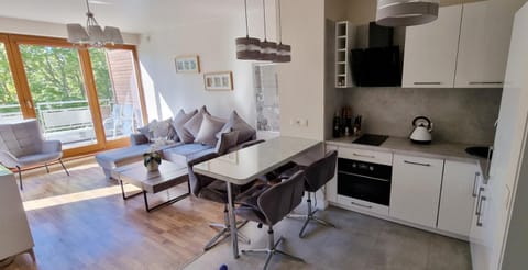 Coffee/tea facilities, Kitchen or kitchenette, Living room, Seating area, Dining area, dishwasher, internet, stove, toaster