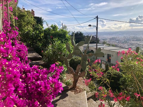 Nearby landmark, Spring, Day, Natural landscape, Garden, City view, Garden view, Mountain view, Sea view