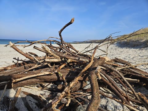 Landhaus DADDELDU Whg. V-D2 (hinten) Apartment in Mecklenburg-Vorpommern, Germany