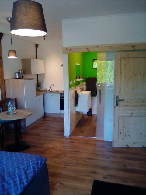 Ferienappartement Studio " Michel" Otzenhausen Apartment in Nohfelden