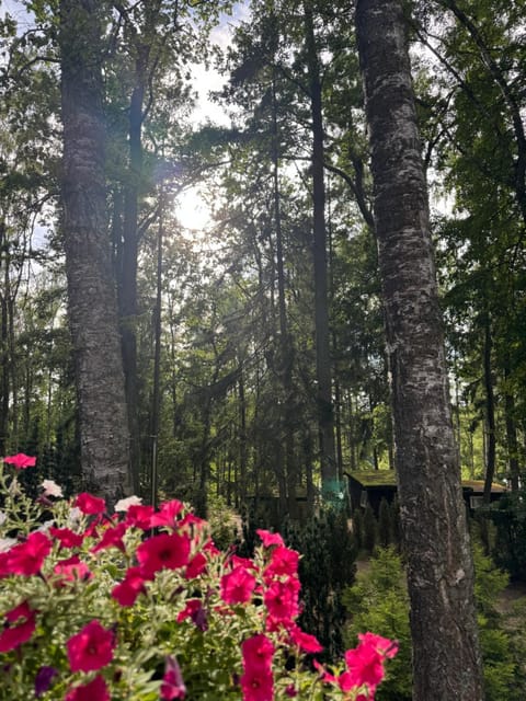 Nova Mazury Nature lodge in Lithuania