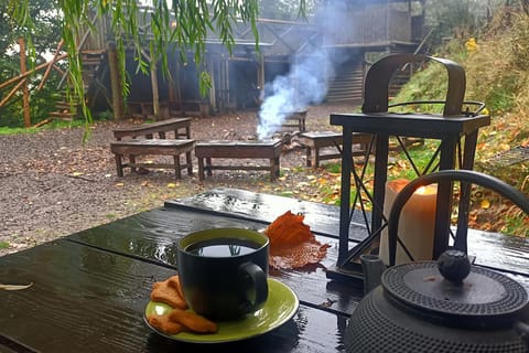 BBQ facilities, Garden, Coffee/tea facilities, Food and drinks, Food, Garden view
