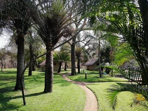 Garden view