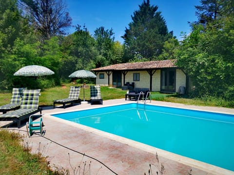 Garden, Pool view, Swimming pool, sunbed