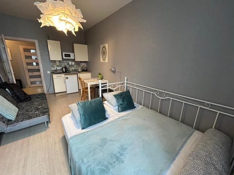 Bed, Kitchen or kitchenette, Photo of the whole room