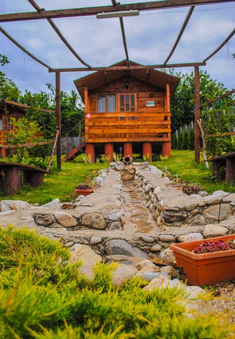 Property building, Garden, Garden view