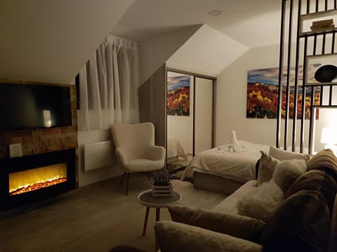 Photo of the whole room, fireplace
